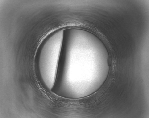 X0000086250628200703291036