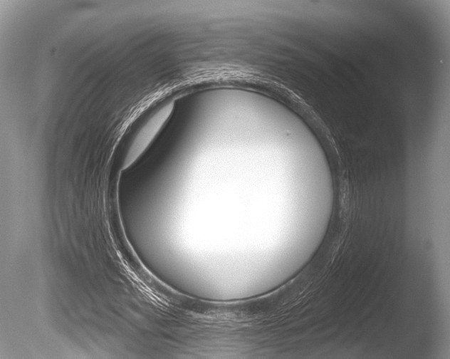 X0000086250629200703291036