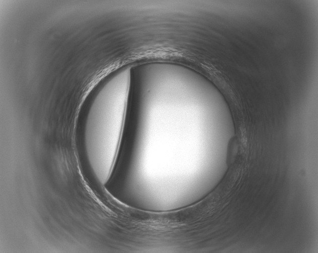 X0000086250630200703291036