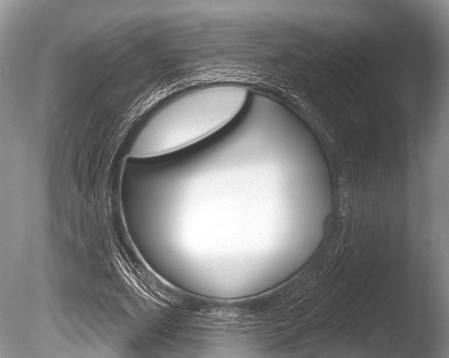 X0000086250631200703291036