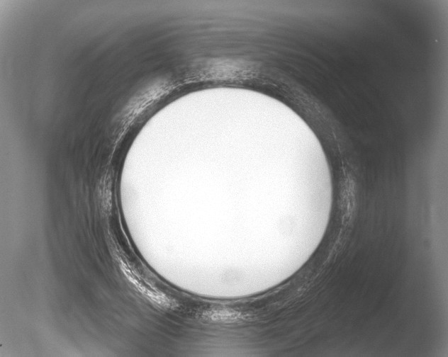 X0000086250632200703291036