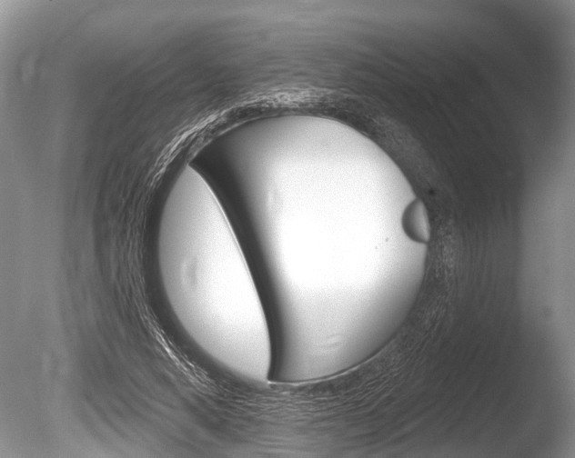 X0000086250640200703291036