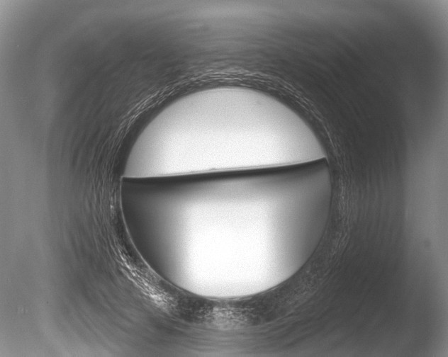 X0000086250641200703291036