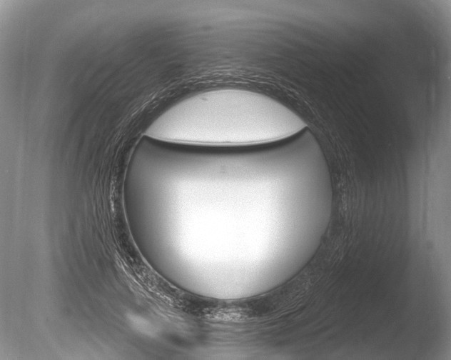 X0000086250643200703291036