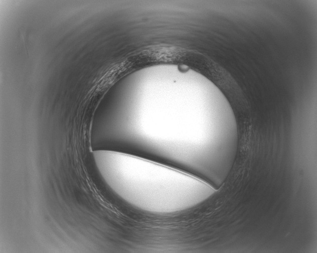 X0000086250646200703291036