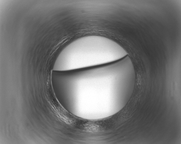 X0000086250648200703291036