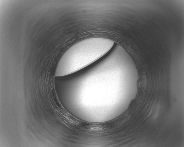 X0000086250653200703291037