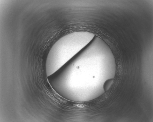 X0000086250654200703291037
