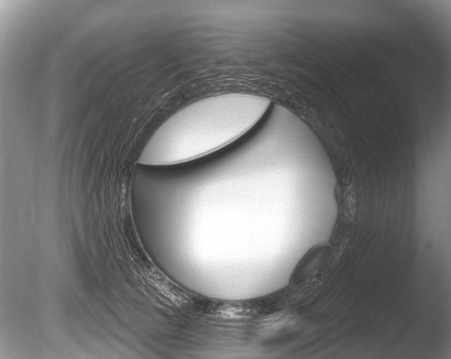 X0000086250657200703291037