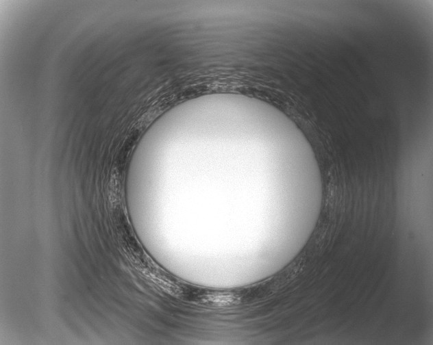 X0000086250659200703291037