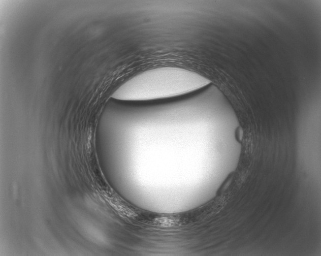 X0000086250660200703291037