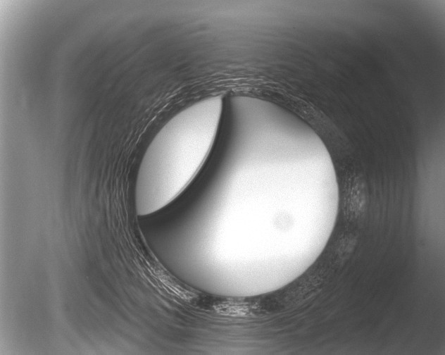 X0000086250661200703291037