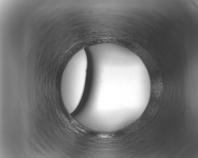X0000086250662200703291037