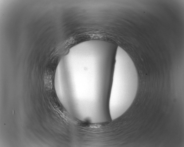 X0000086250666200703291037