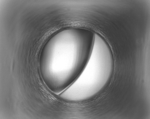 X0000086250673200703291036