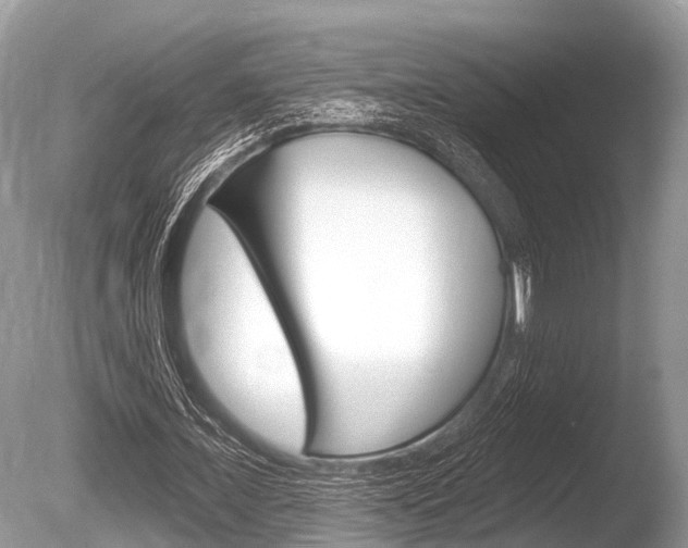 X0000086250675200703291036