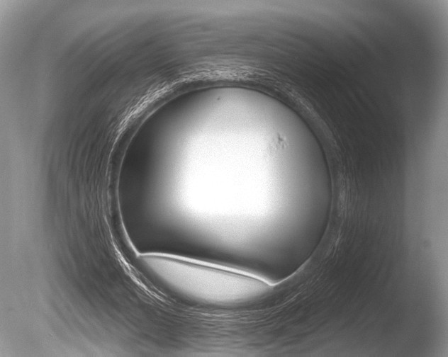 X0000086250677200703291036