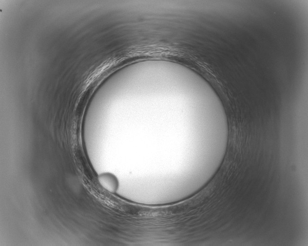 X0000086250679200703291036