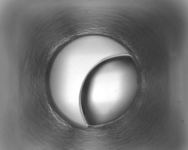 X0000086250681200703291036