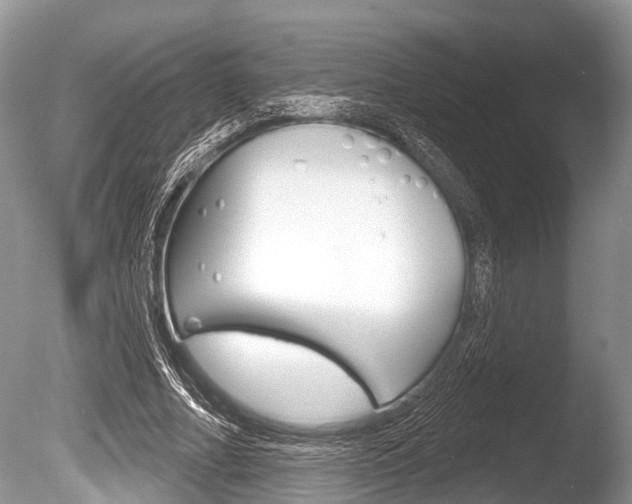X0000086250682200703291036