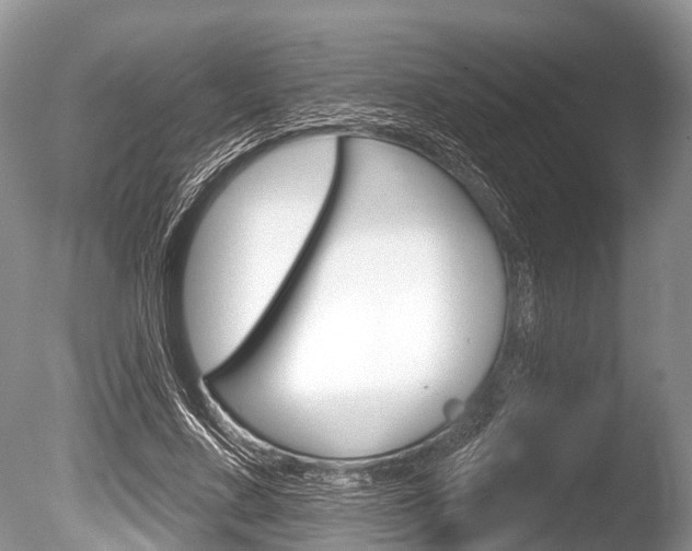 X0000086250683200703291036