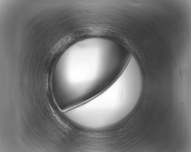 X0000086250685200703291036