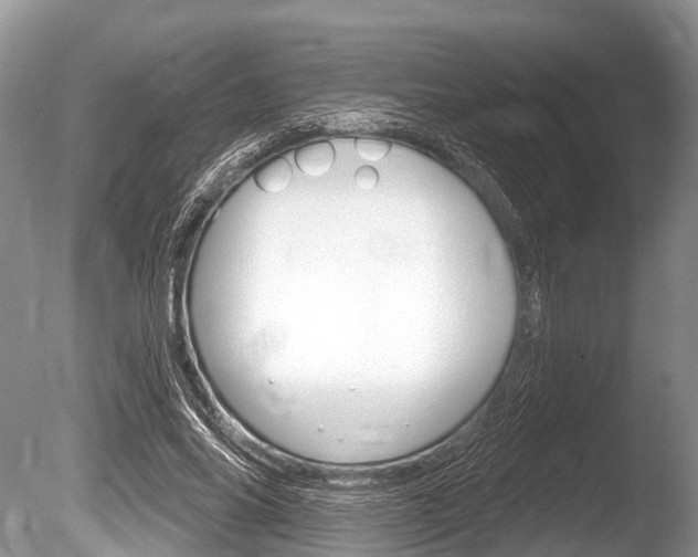 X0000086250686200703291036