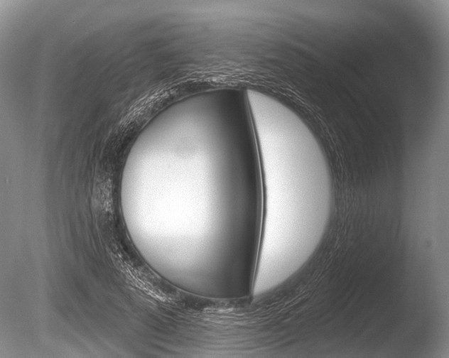 X0000086250689200703291036