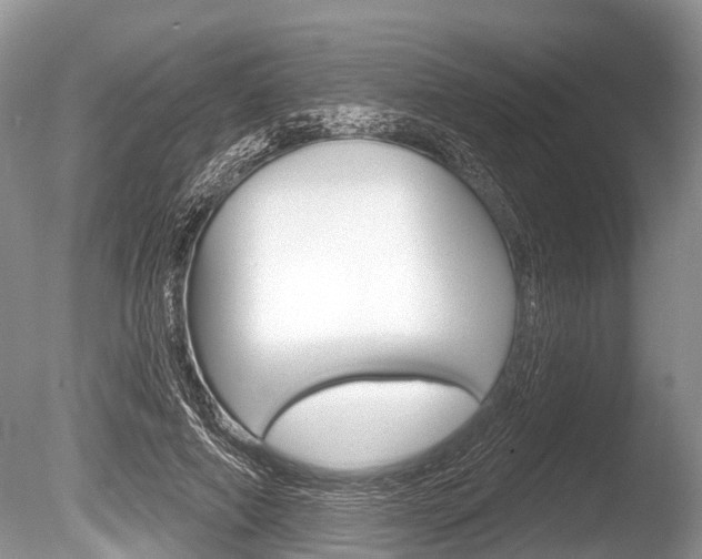 X0000086250690200703291036