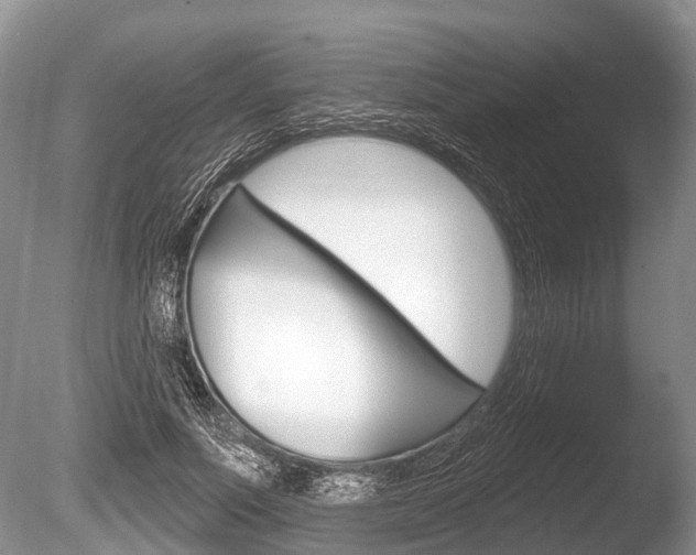 X0000086250691200703291036