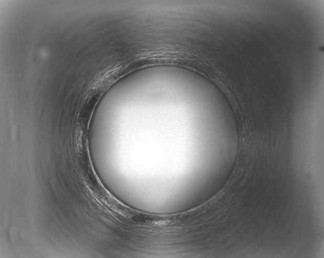X0000086250692200703291036