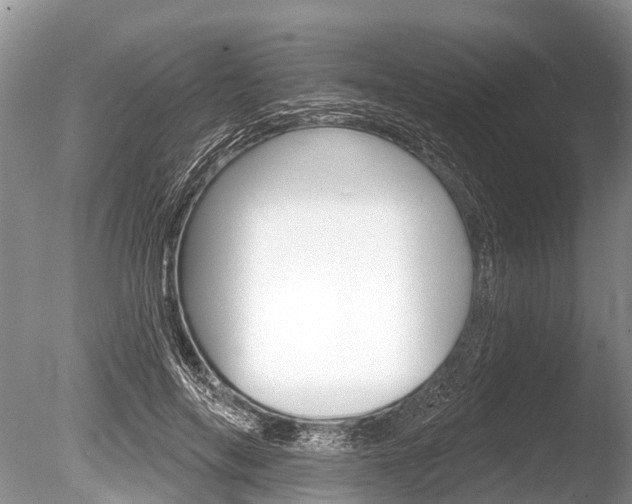 X0000086250694200703291036