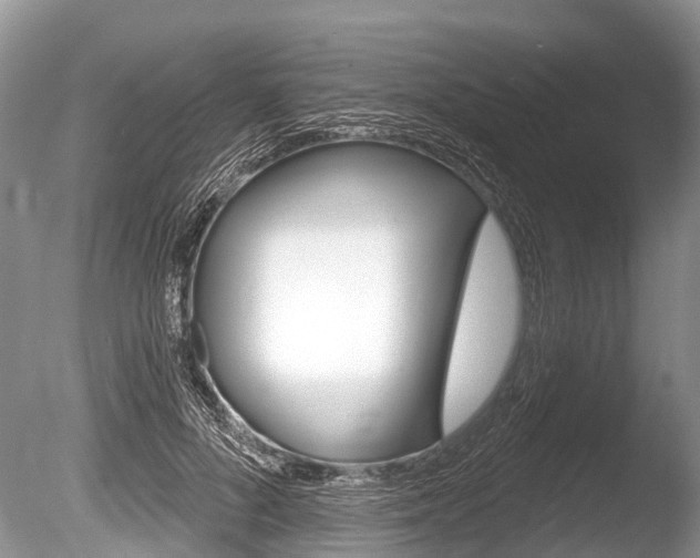 X0000086250696200703291036