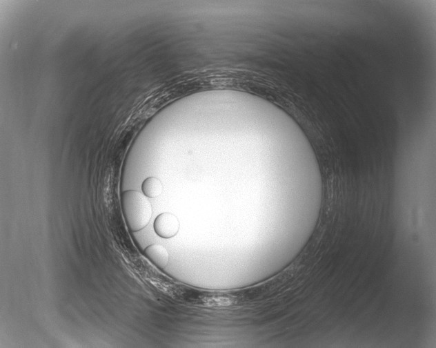 X0000086250698200703291036