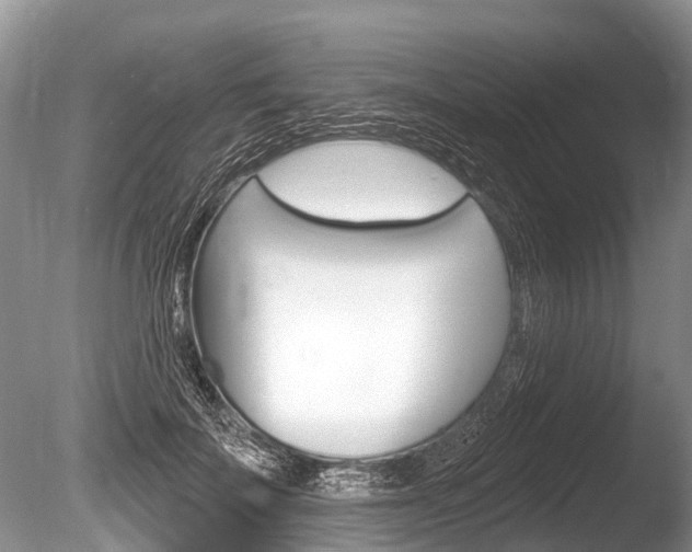 X0000086250699200703291036
