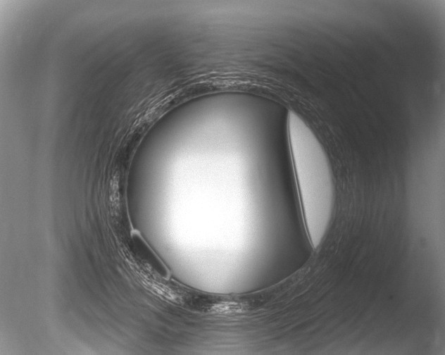 X0000086250700200703291036
