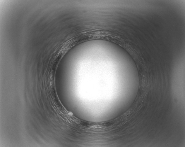 X0000086250708200703291035