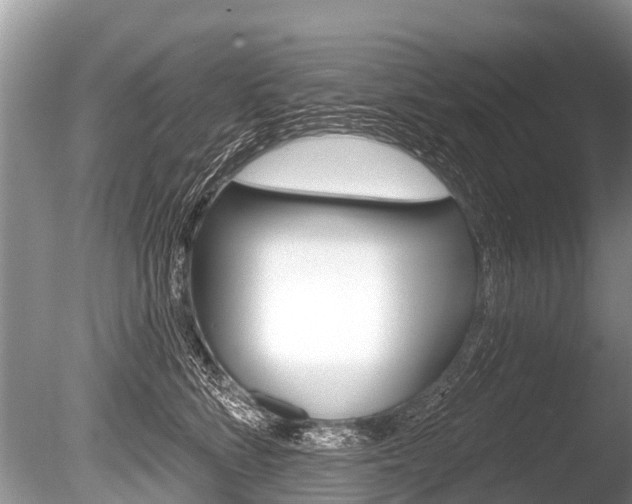 X0000086250712200703291035