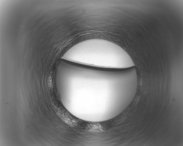 X0000086250715200703291035