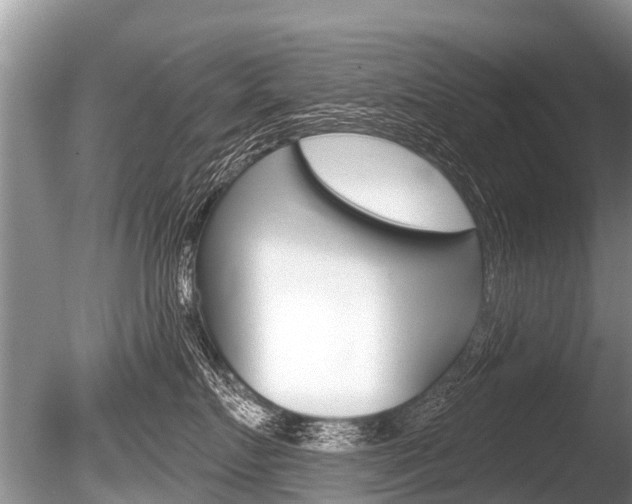 X0000086250719200703291035
