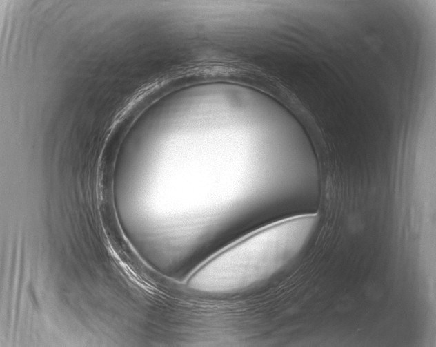 X0000086250722200703291034