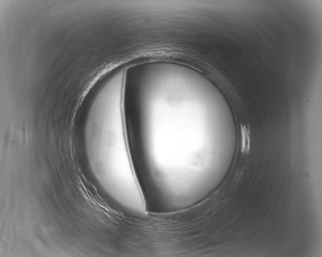 X0000086250723200703291034