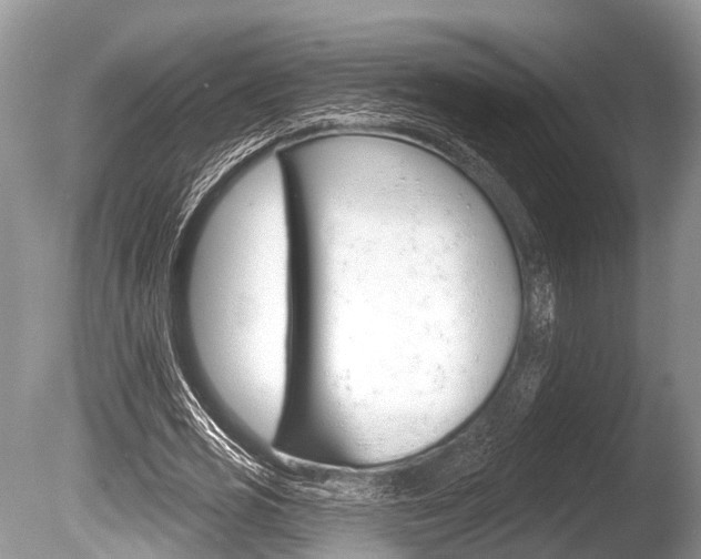X0000086250725200703291034