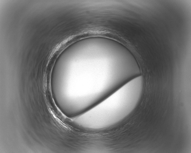 X0000086250726200703291034