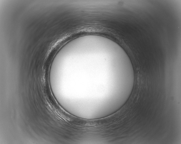 X0000086250727200703291034