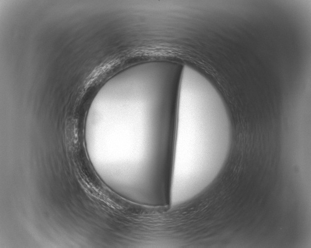 X0000086250731200703291035