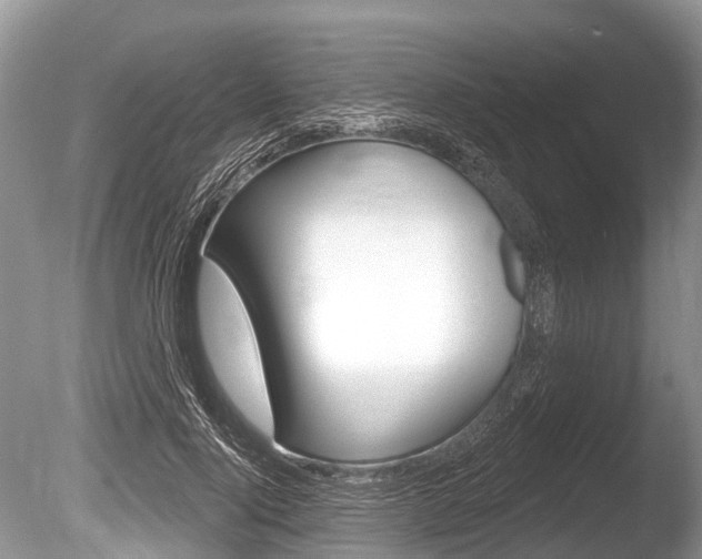 X0000086250740200703291035