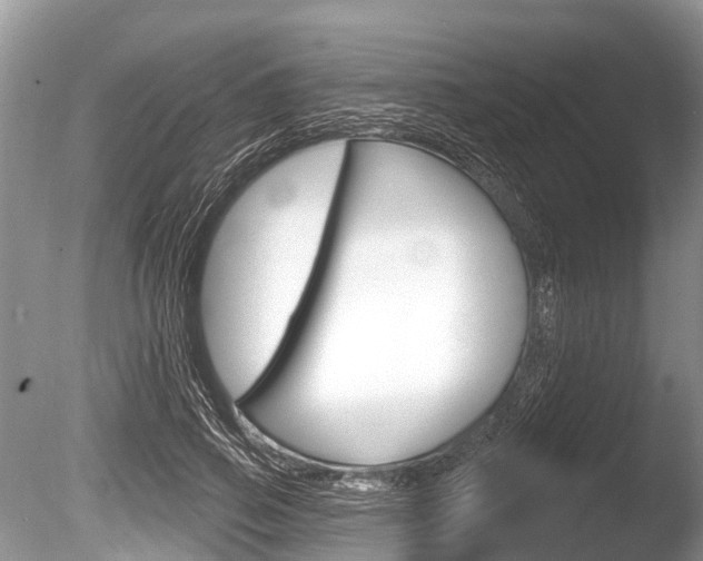 X0000086250741200703291035