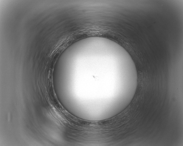 X0000086250742200703291035