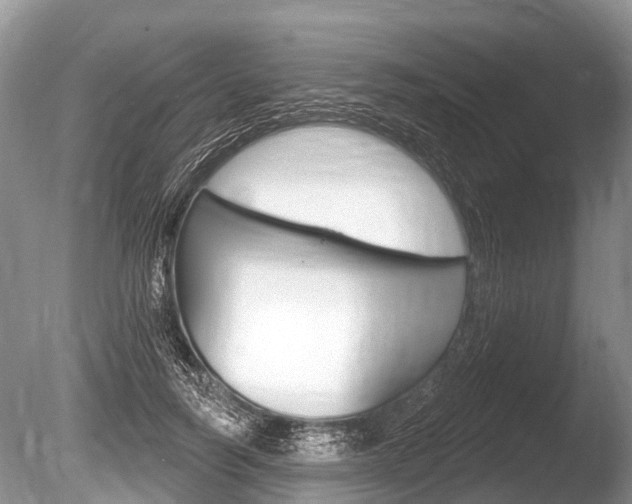 X0000086250746200703291035